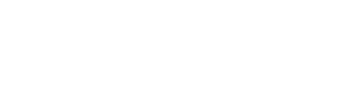 Health Wise Sports Medicine Logo copy 3@2x